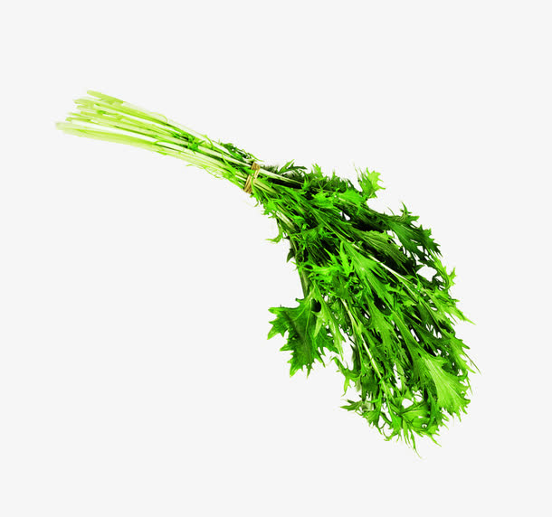 绿色新鲜蔬菜香芹芹菜免抠