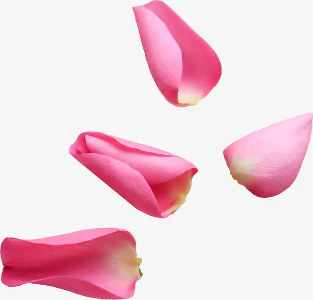 粉色花瓣免抠