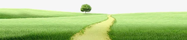 草地免抠