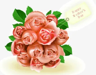 红色玫瑰花免抠