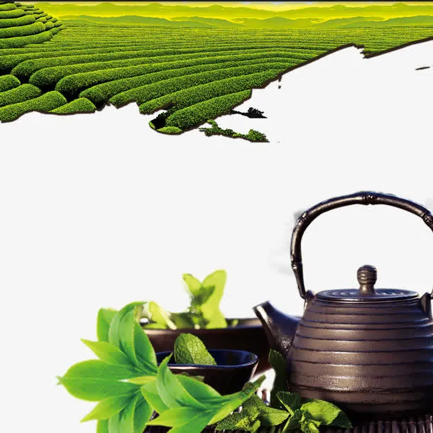 中国风茶园茶壶茶叶元素免抠