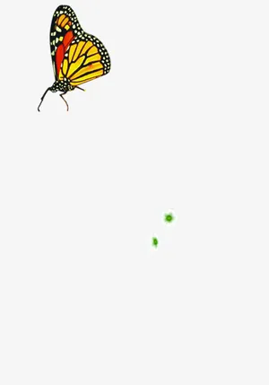 黄色卡通春天蝴蝶手绘免抠装饰动物元素