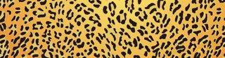 豹纹毛皮花纹背景高清