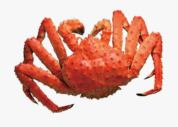 红色的海鲜帝王蟹免抠