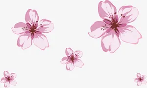 漂浮粉色花朵免抠