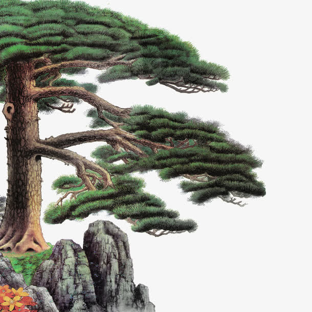 迎客松免抠