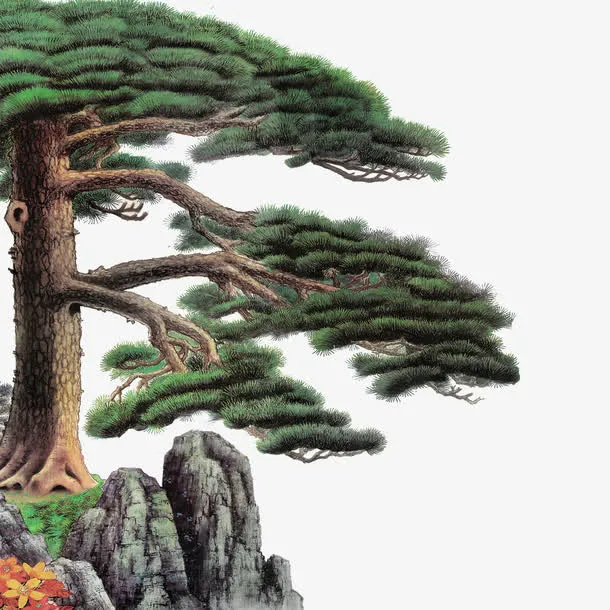 迎客松免抠