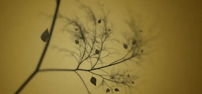 淘宝banner海报大图背景图