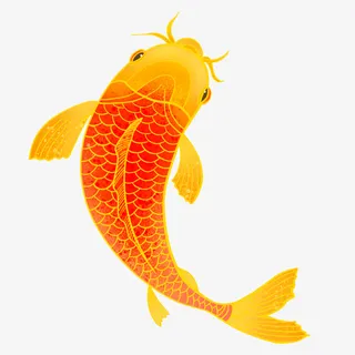 锦鲤祝福素材免抠