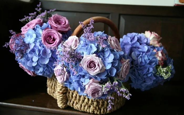 粉红玫瑰，蓝色绣球花高清