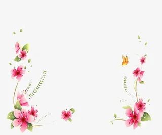 桃花花框免抠