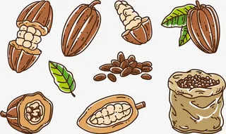 矢量图榨油的果子免抠