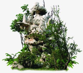 假山免抠