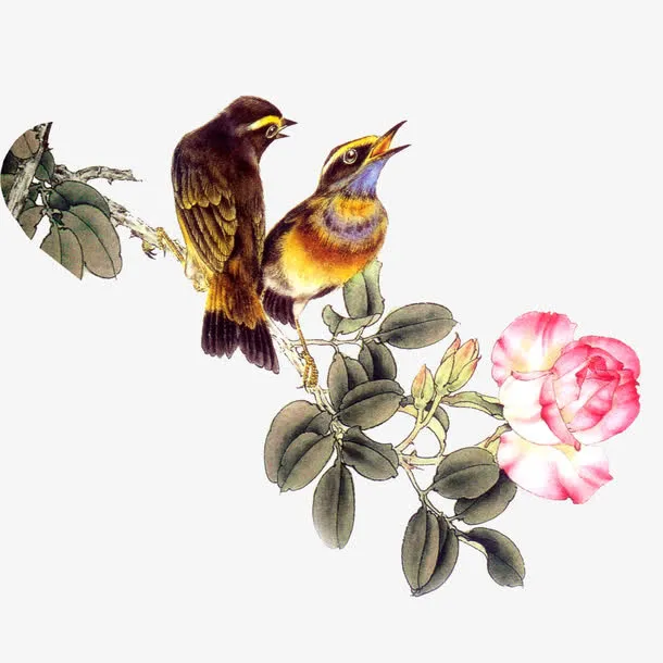 花鸟图免抠