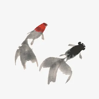 水墨金鱼游动元素免抠