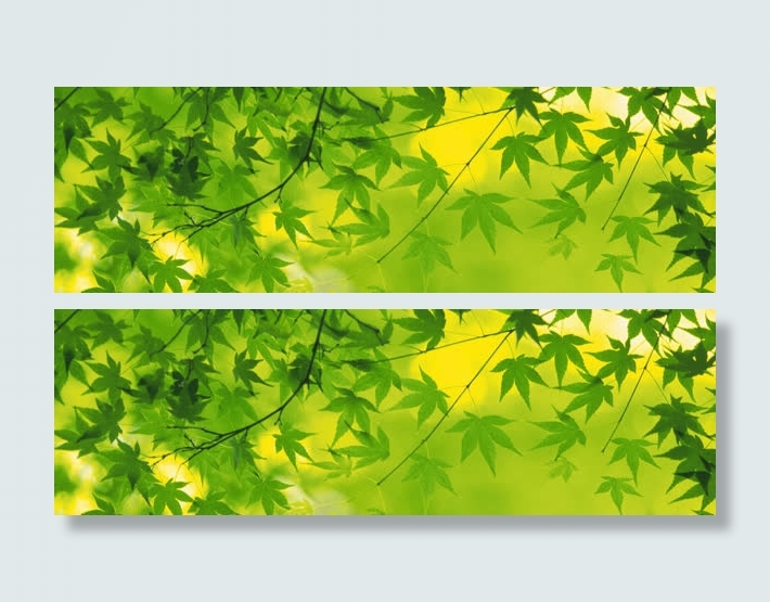 树叶背景