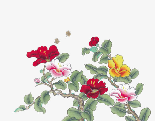 富贵花开免抠