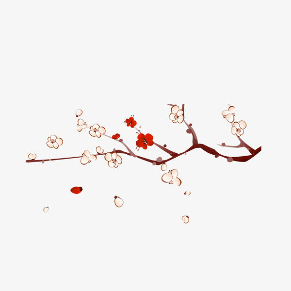 落花的梅花免抠