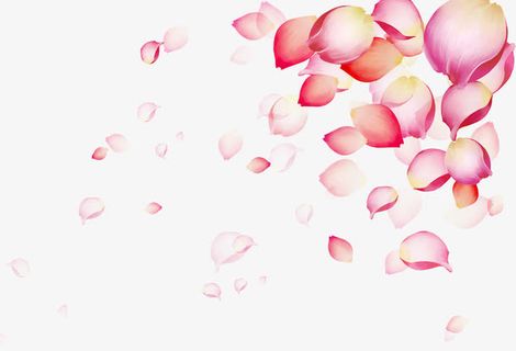 飘落的花瓣免抠