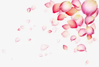 飘落的花瓣免抠