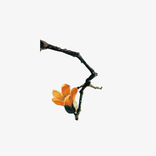 花朵免抠