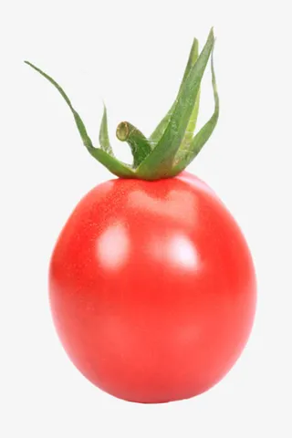 实物新鲜红色带藤樱桃番茄免抠