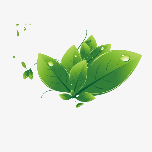 清脆绿叶免抠漂浮花瓣元素