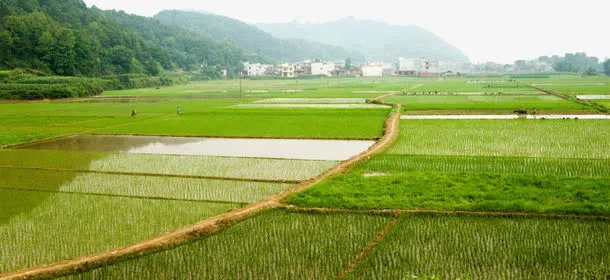 农田素材免抠