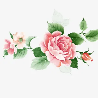 手绘盛开的牡丹免抠