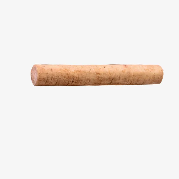 一节新鲜的牛蒡高清图免抠
