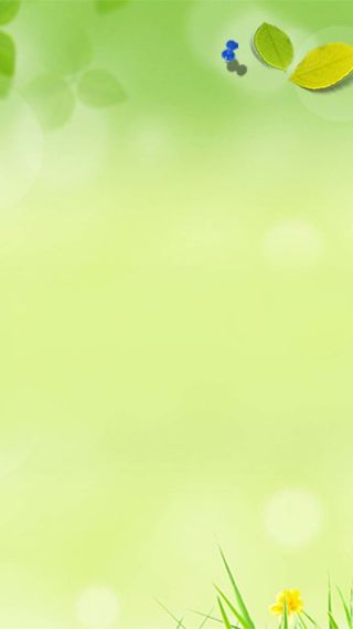 清新清爽绿色H5背景高清