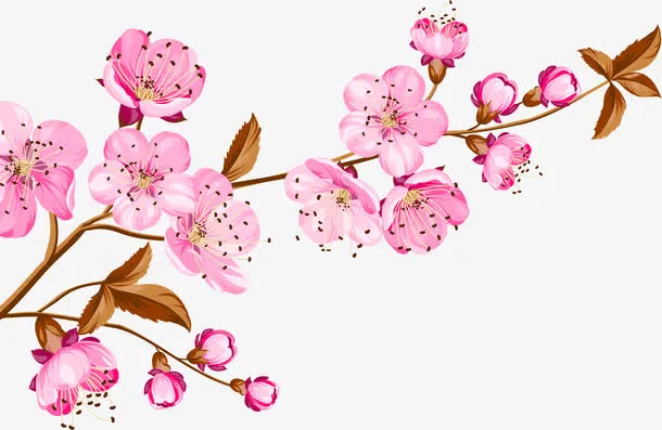 矢量樱花朵朵免抠