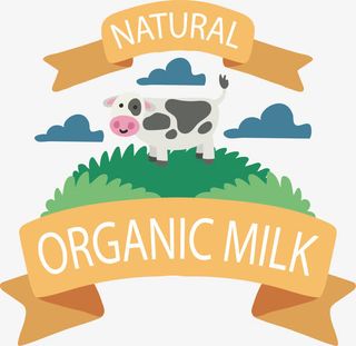 草地上的奶牛免抠