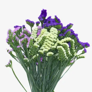 干花熏衣草花束免抠