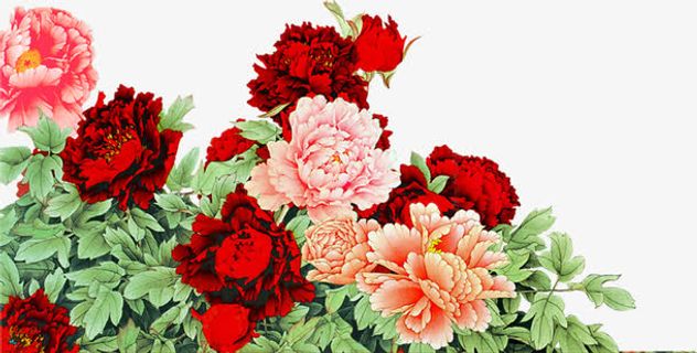 节日海报效果花讲台免抠