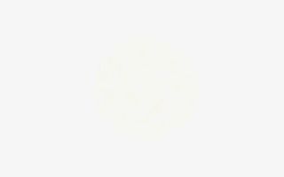 春节元旦白色花纹透明素材免抠