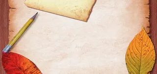 纸张上面的树叶图片高清