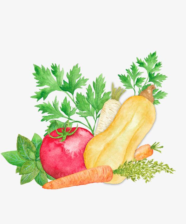 手绘蔬菜免抠