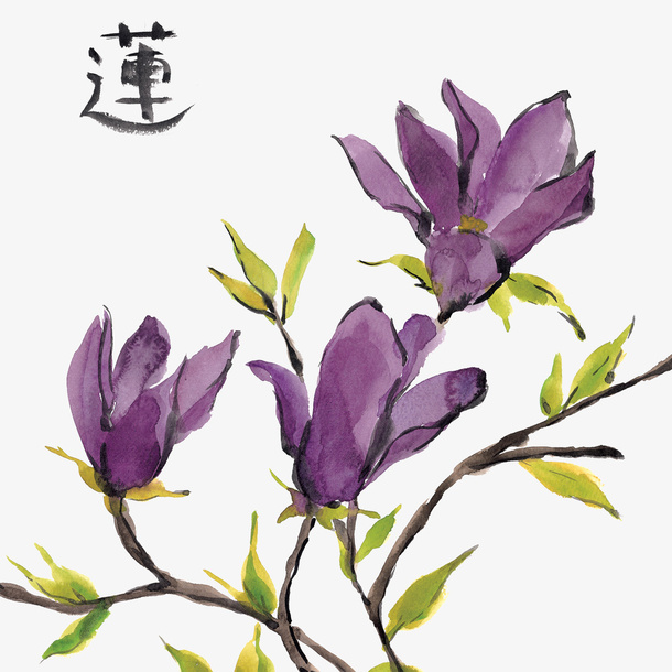 绿色叶子树枝免抠