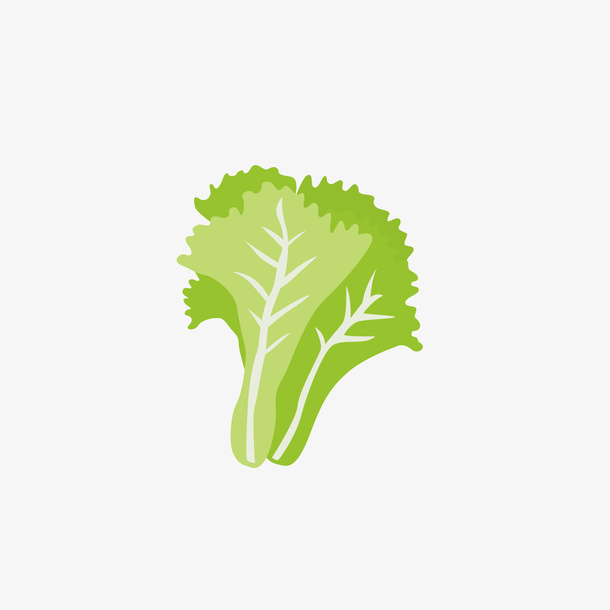 卡通白菜矢量图下载免抠