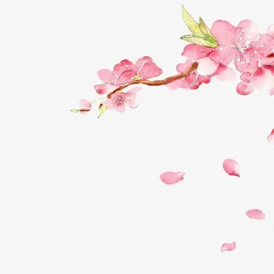 手绘鲜花手绘桃花绿色叶子免抠