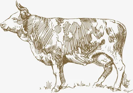 手绘线稿庄园农牧素材免抠