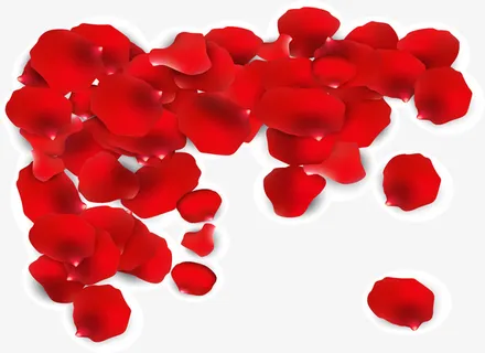 红色情人节玫瑰花瓣免抠
