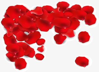 红色情人节玫瑰花瓣免抠