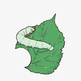 蚕宝宝桑叶免抠