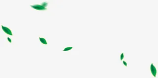 飘落的绿叶免抠