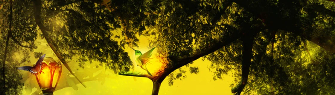 梦幻 暖色 清新 商务 淘宝背景 抽象 蝴蝶 大树 叶子 鸟高清