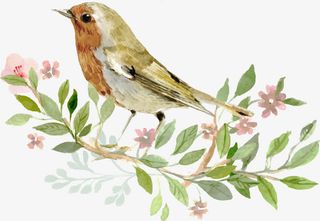 水彩花鸟免抠装饰动物元素