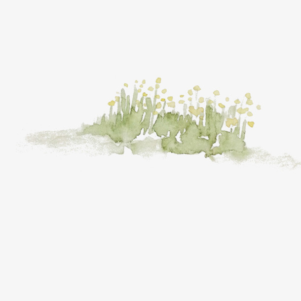 手绘花草免抠