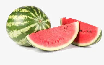 西瓜免抠